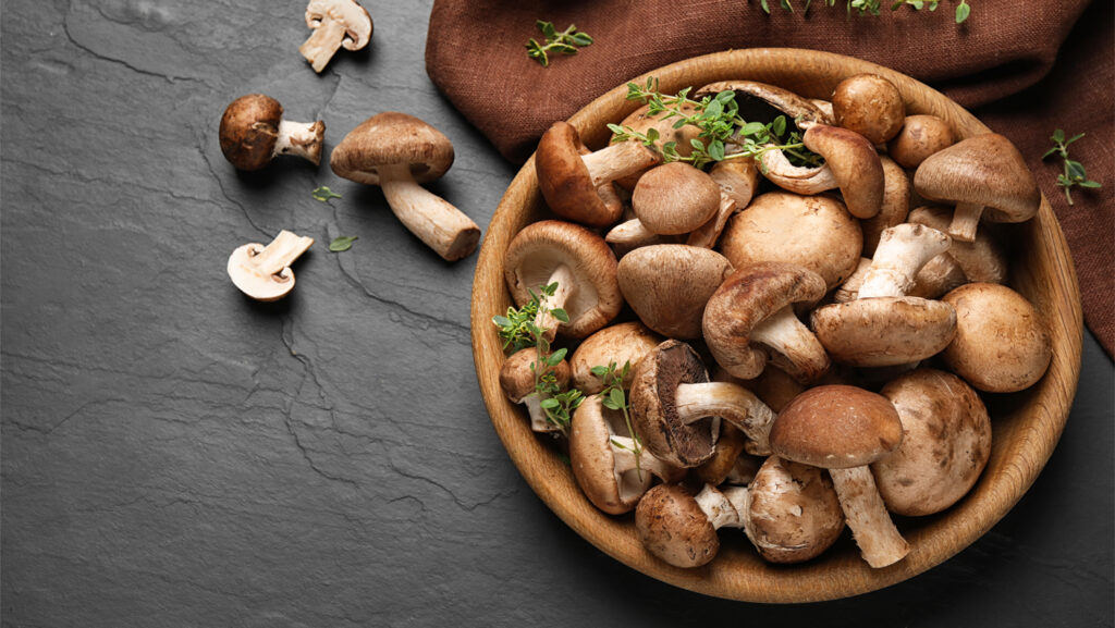 Mantar Aterosklerozu Önlüyor