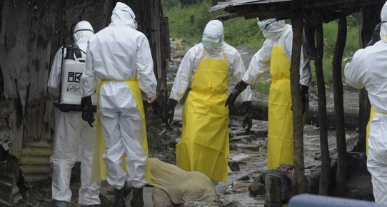 Ebola Karantinasına Yağmalama