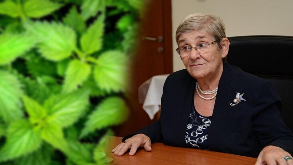 Canan Karatay’dan kandaki zehri temizleyen ısırgan otu çayı önerisi!