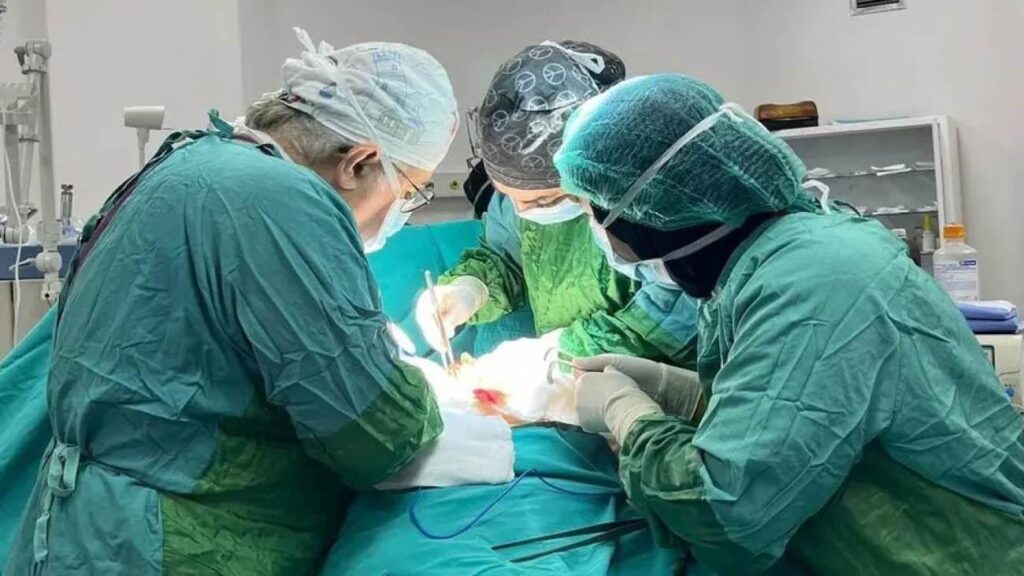 Mersin’de tabipleri bile şaşkına uğratan olay:  Tam 1 kilo, hepsi midesinden çıktı!