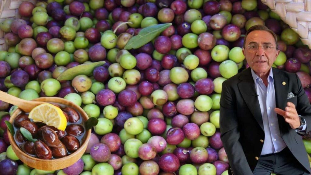 Osman Müftüoğlu merak edilen soruyu yanıtladı! Siyah zeytin mi yararlı yeşil zeytin mi?