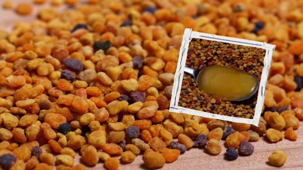 Propolis nedir? Nasıl kullanılır? Tesirleri nelerdir?