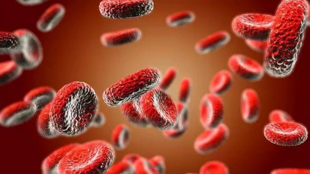 Akdeniz anemisi evliliğe mani değil! Talasemi taşıyıcılarına tüp bebek prosedürü