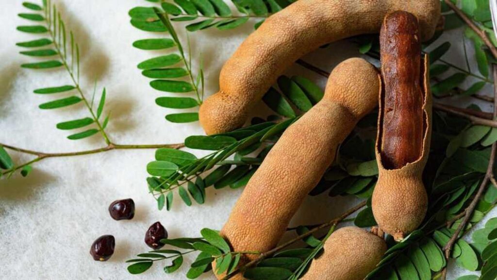 Demirhindi (tamarind) nedir ve demirhindi hangi yemeklerde kullanılır? Demirhindili yemekler