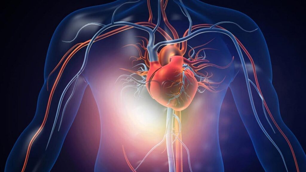 Hayati risk taşıyor, belirtilere dikkat: Aort diseksiyonu nedir?