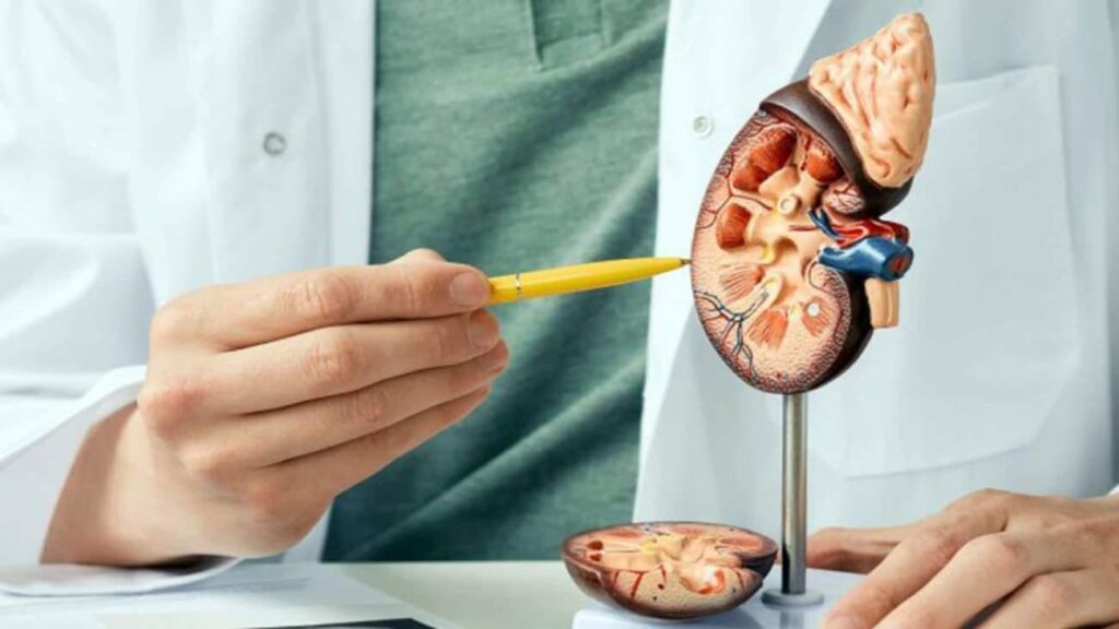 Her 8 şahıstan birinde görülüyor! Böbrek taşıyla hayatınız kabusa dönmesin