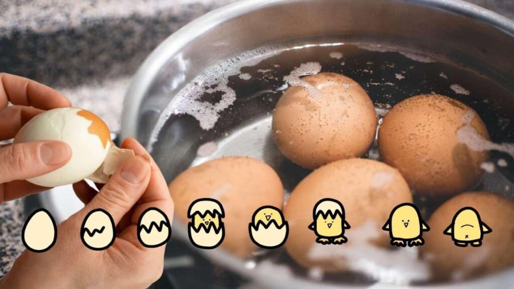 Her sabah yumurta tüketende o hastalıktan eser kalmıyor! Günde 1 yumurta yemenin yararları