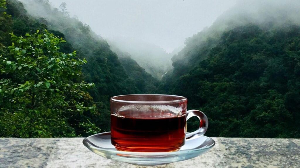 Siyah çayın yararları literatüre geçti! Yıllardır yanlış biliyormuşuz