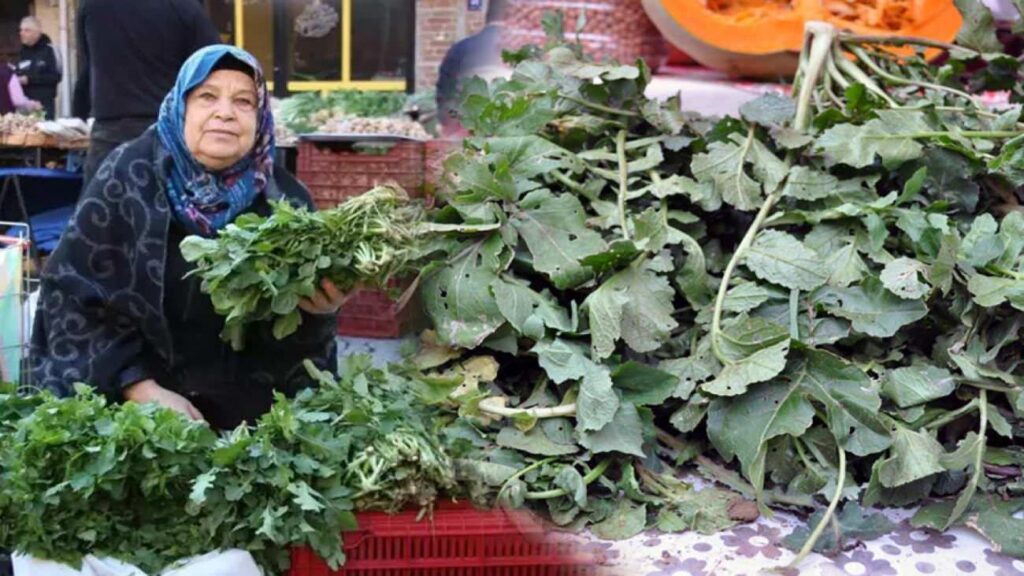 Turp otunun yararları nelerdir ve nasıl tüketilir? Turp otu salatası