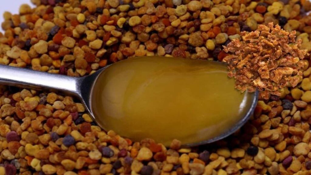 Bağışıklığı uçuran mucize: Arıların altın bedeli propolisi kilosu 1000 liradan satılıyor