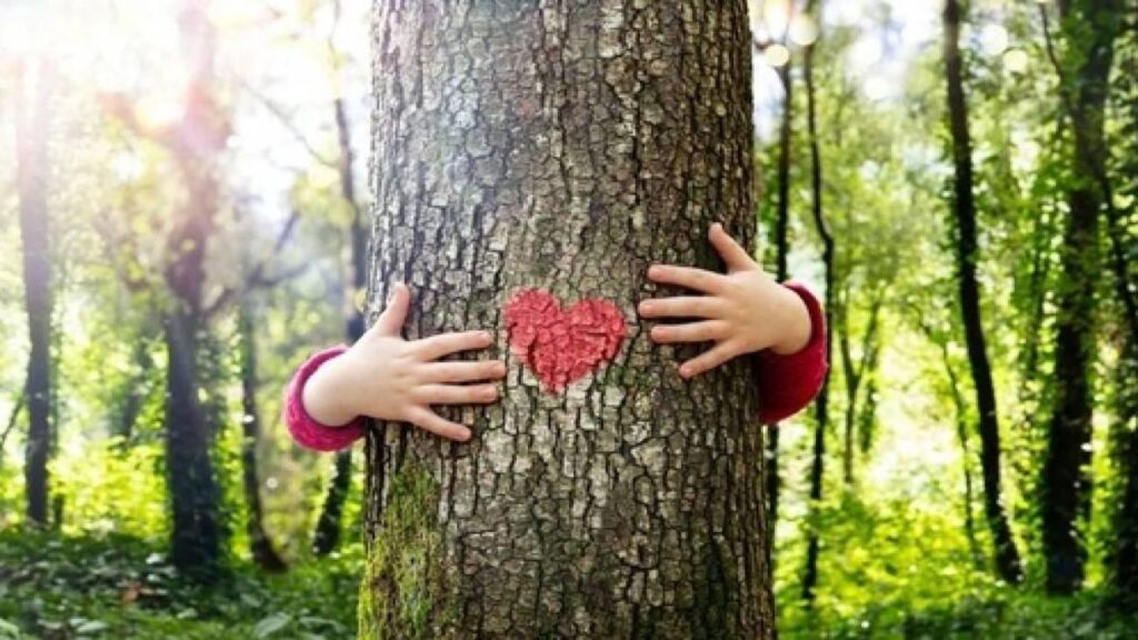 Çocuklara etraf şuuru kazandırmak için tercih edilebilecek kitap teklifleri