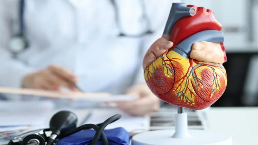 Hayati risk taşıyan sessiz tehlike: Aort Anevrizması!