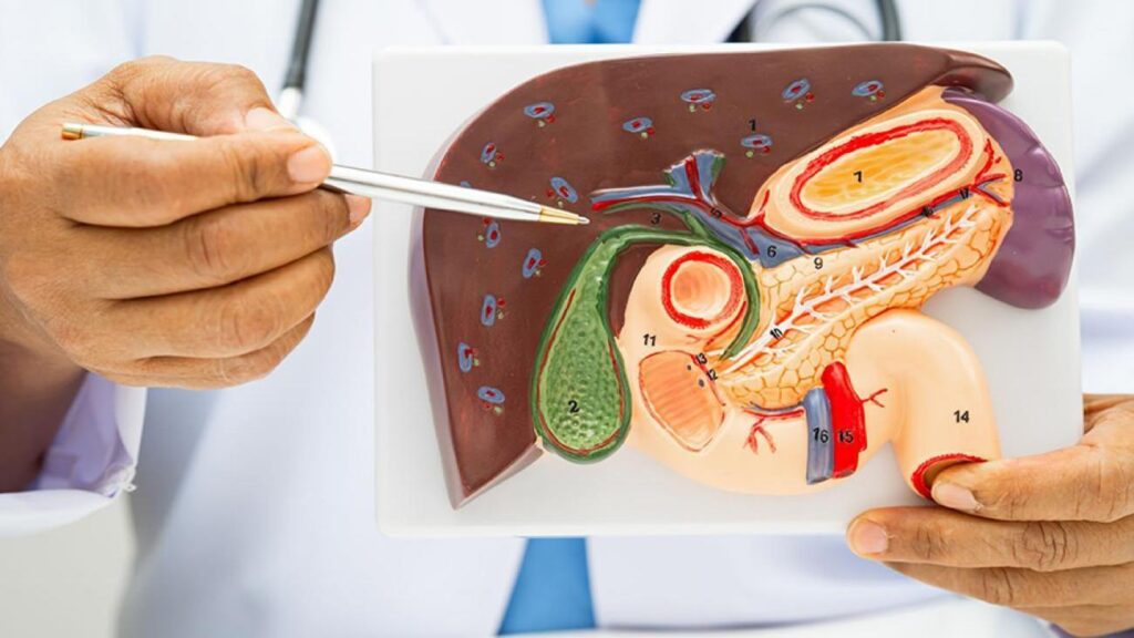 Hazımsızlık deyip geçmeyin! Altında safra kesesi taşı olabilir