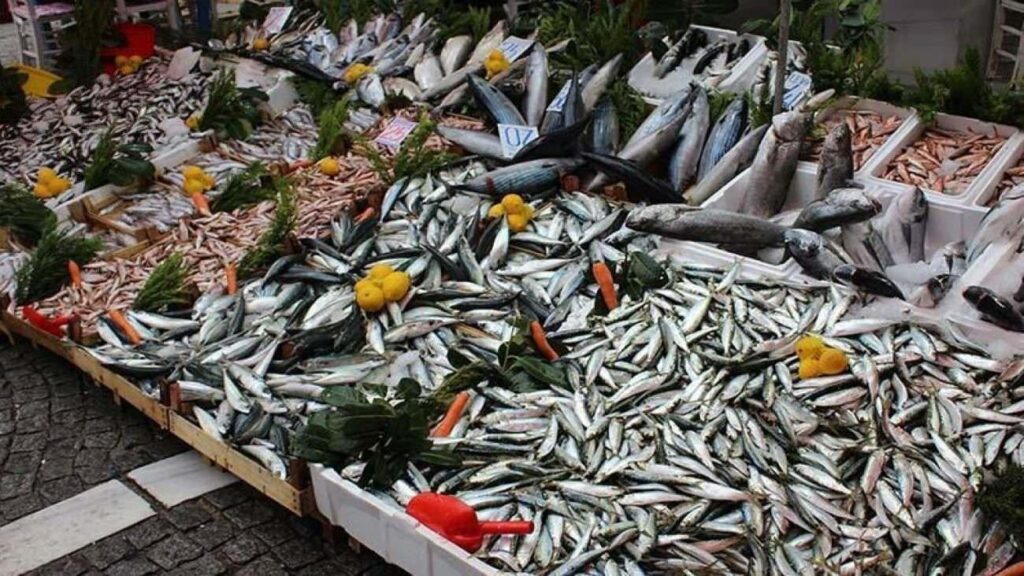 Kalp ve beyin sıhhati için en yararlı 5 balık tipi açıklandı!