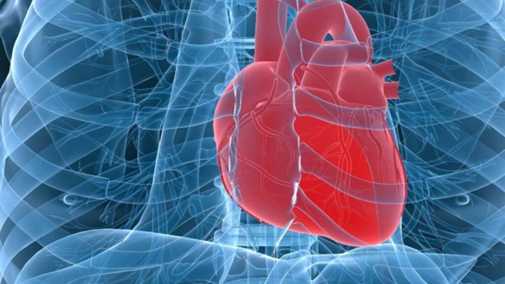 Kalpte delik (ASD) artık kapalı prosedürle süratli ve inançlı bir formda tedavi edilebiliyor!