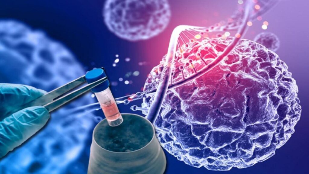 Medipol Mega Üniversite Hastanesi’nde kök hücre bağışı paneli: ‘Hayat Seninle Güzel’