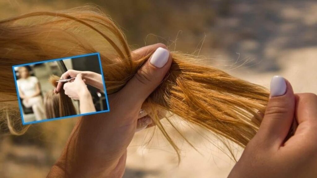 Saç kırıklarına son! Meskende basitçe uygulayabileceğiniz 3 doğal maske tanımı