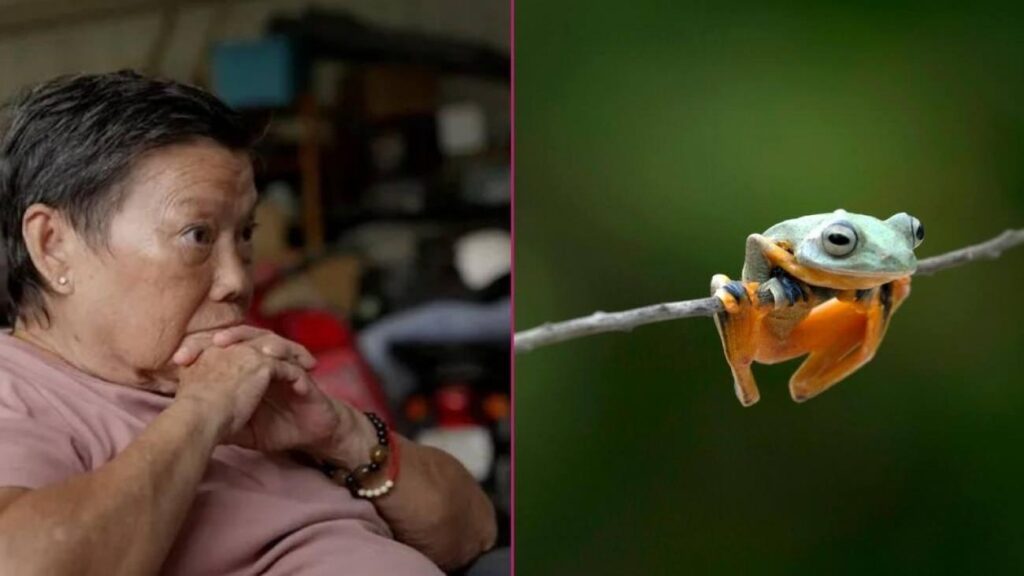 Sırt ağrısı şikayetiyle gitti! Midesinden çıkanlar şoke etti