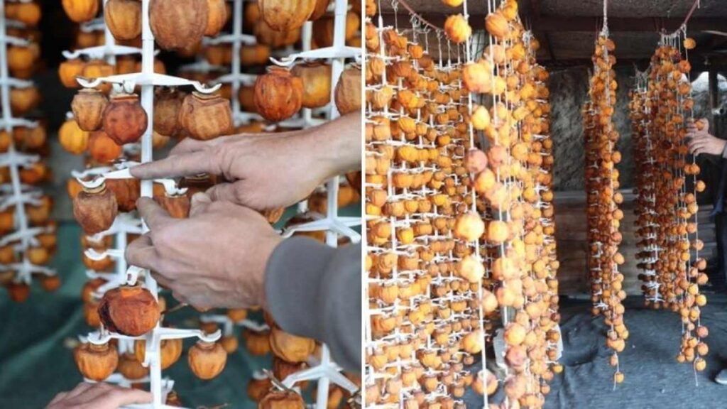 Ürgüp’ün doğal lezzeti dünyaya açıldı! Kurutulmuş cennet hurmasının yararları saymakla bitmiyor