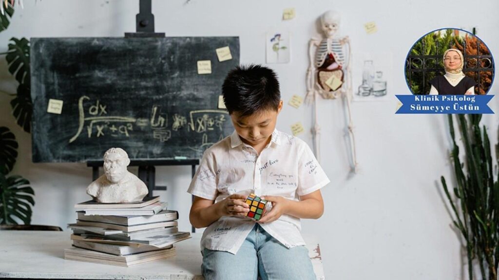 Uzmanlar uyarıyor: “Zekâ yalnızca IQ değildir”