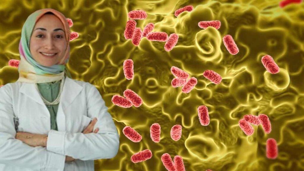 Yaz aylarında besin zehirlenmelerine dikkat: Salmonella sessizce yayılıyor