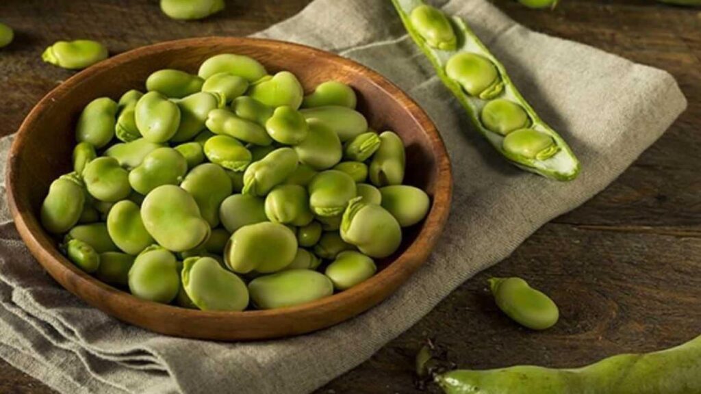 Yaz mevsiminin en yararlı yeşili! Bakla pankreasın yıpranmasını engelliyor