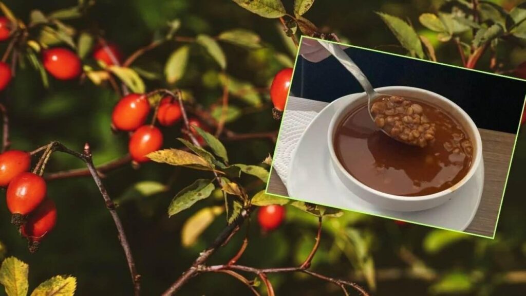 Yozgat yöresine ilişkin ‘kuşburnu yemeği’ yararlarıyla tanınan oldu! 70 kederi devası